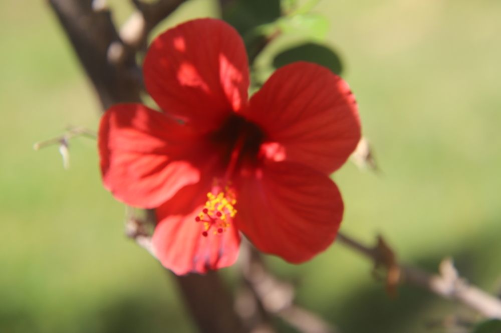 Photograph by Евгений Рабинович