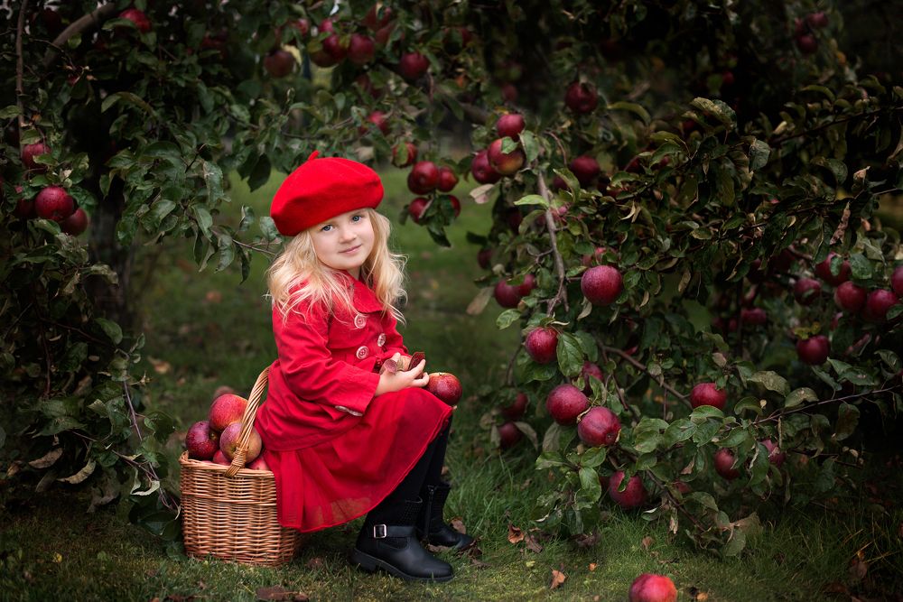 Фотография автора VAIDA MARTINKIENE