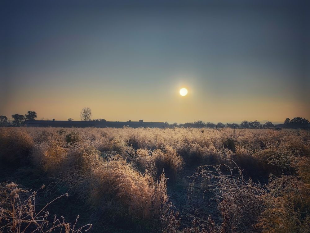 Photograph by Swetlana Lebedev