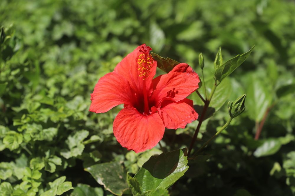 Photograph by Евгений Рабинович