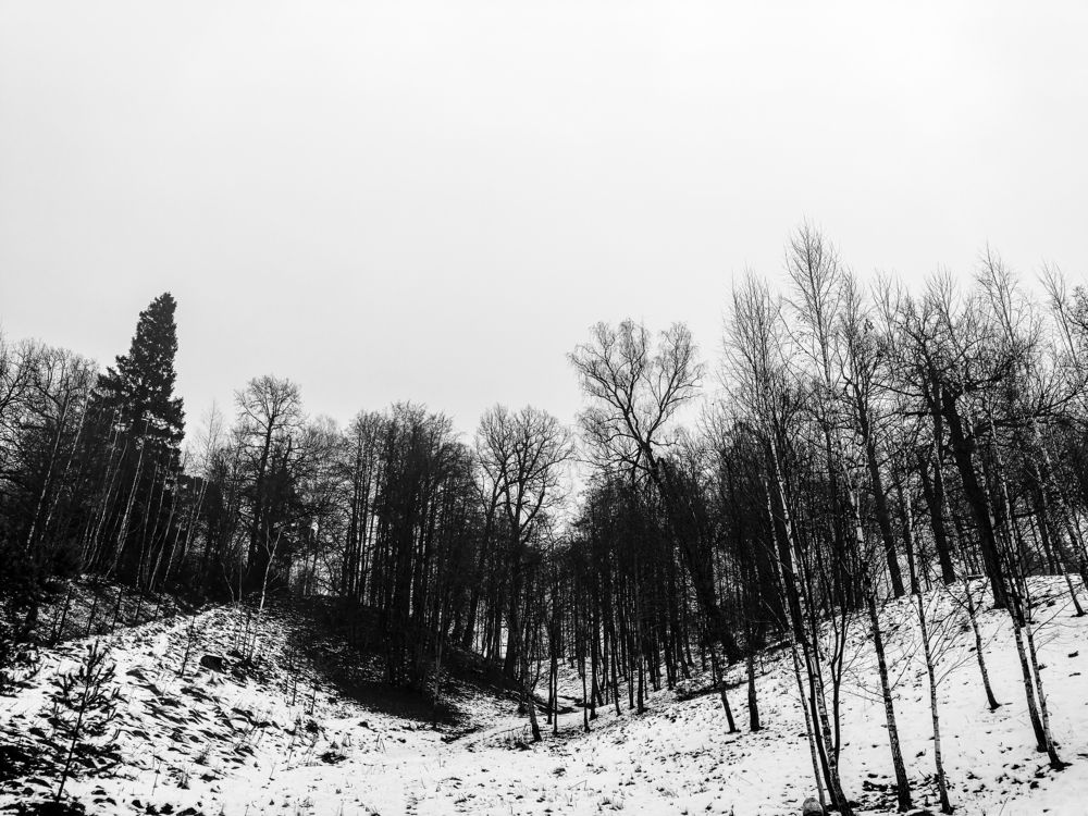 Photograph by Мила