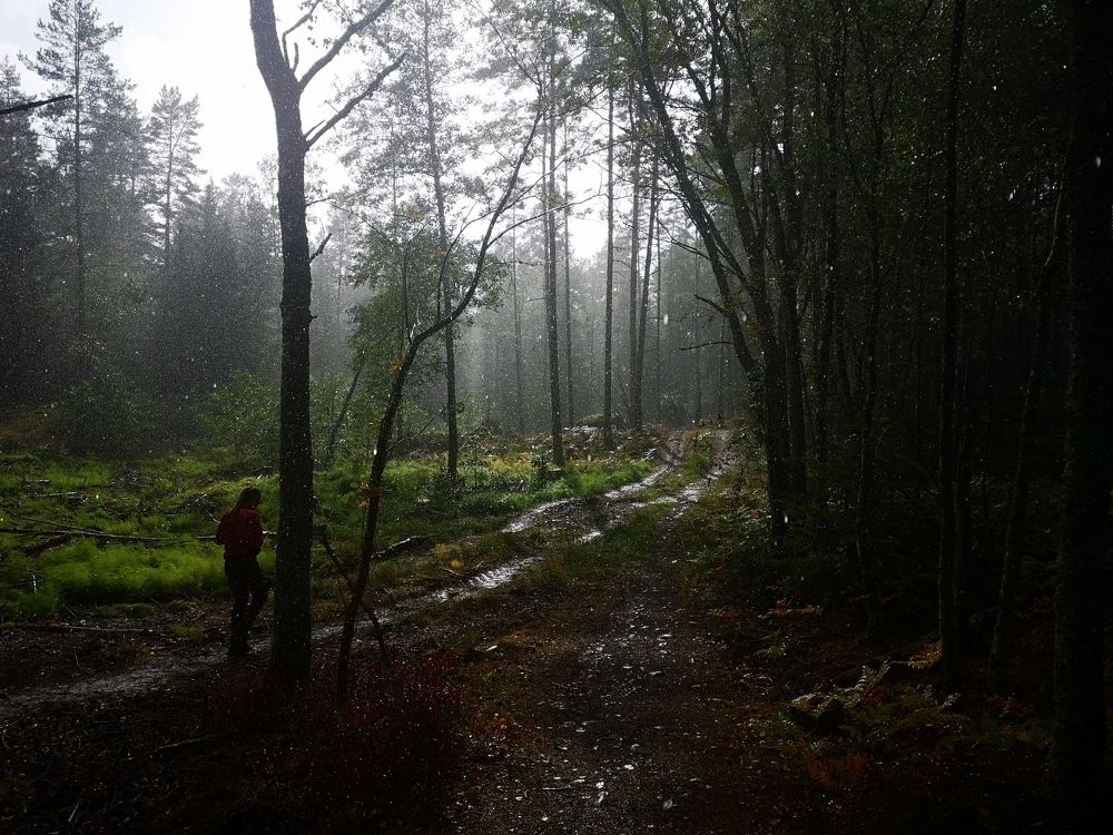 Photograph by Vitalijs Mironovs