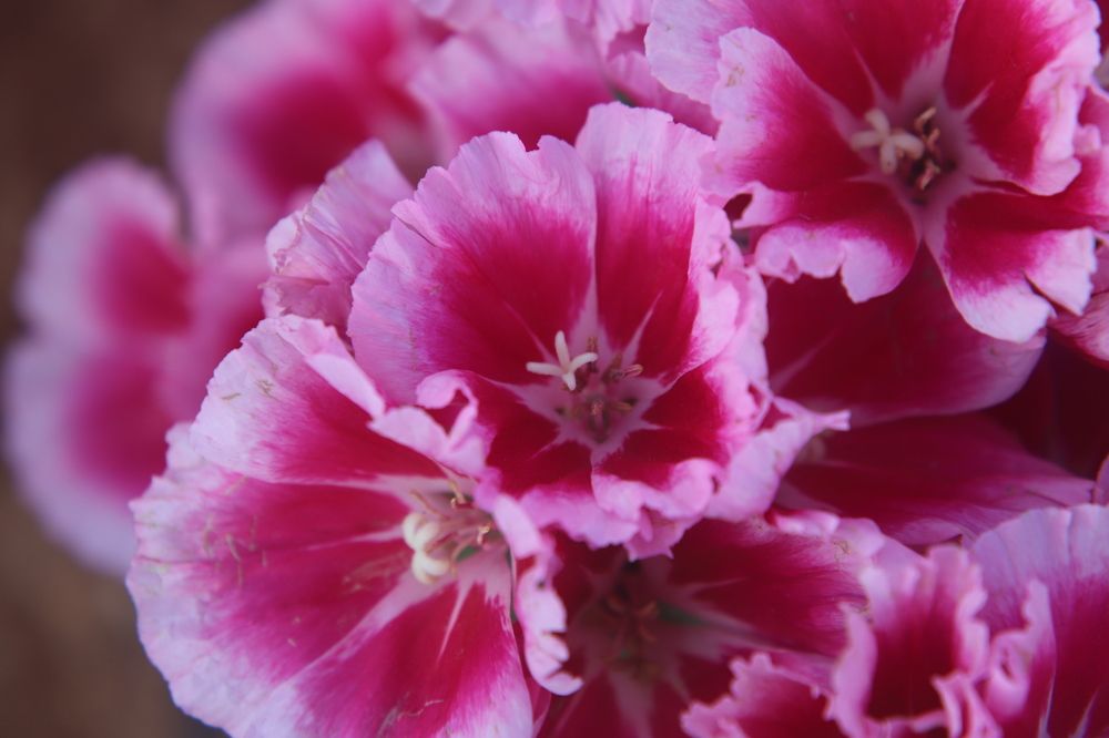 Photograph by Евгений Рабинович