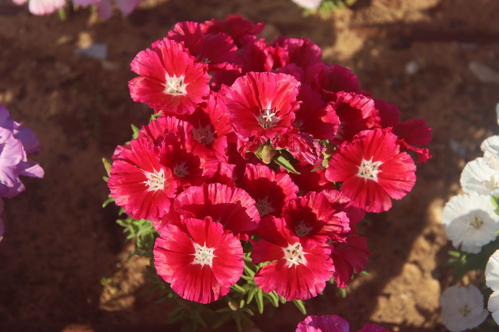 Photograph by Евгений Рабинович