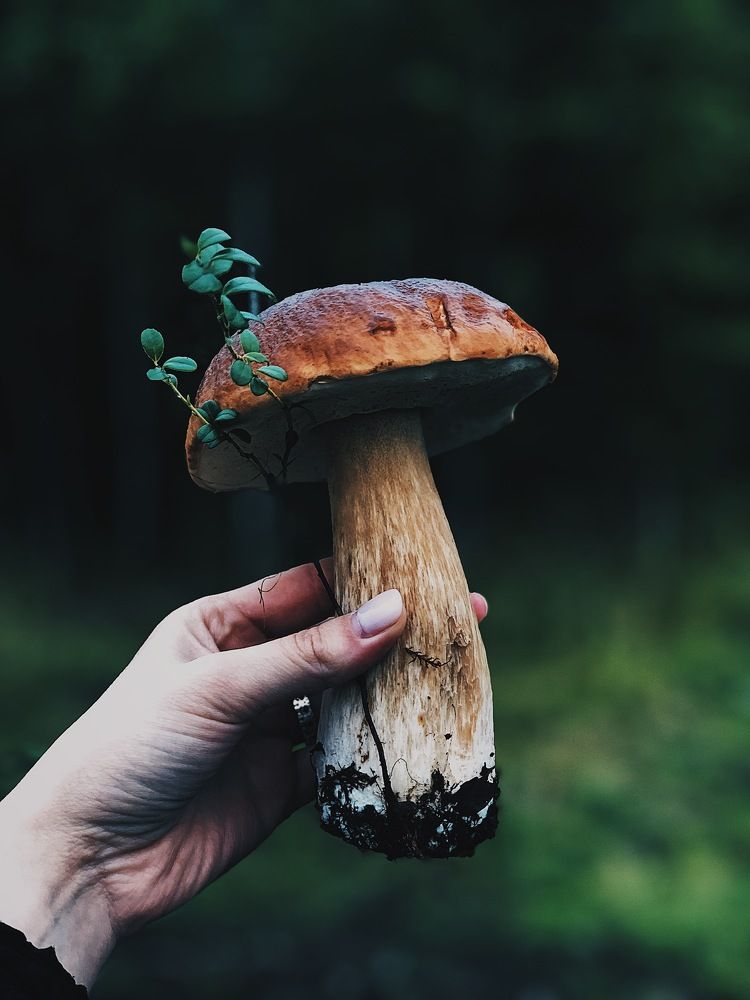 Photograph by Рита Кичик