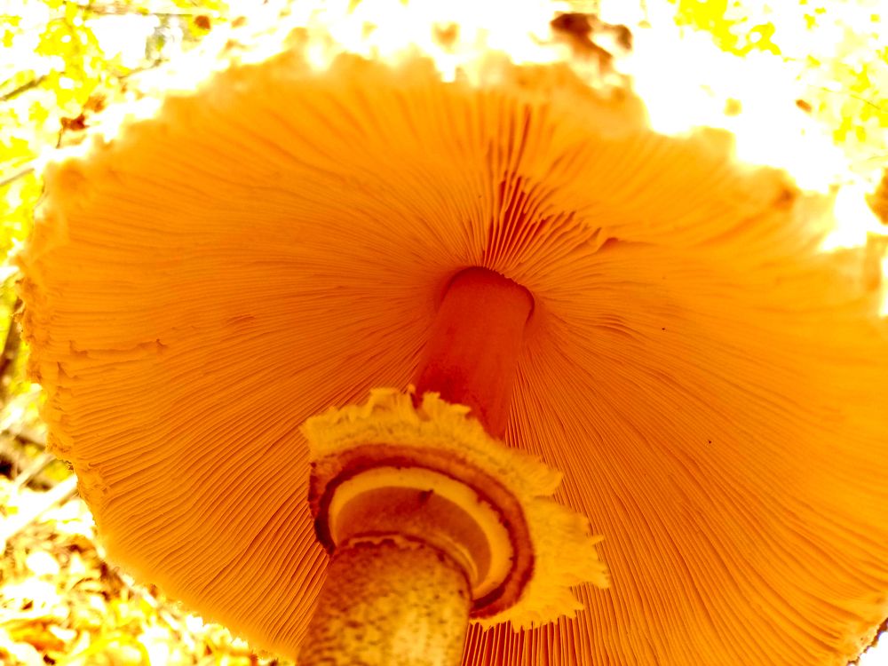 Photograph by Bogdan Mihalache