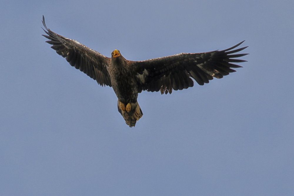 Photograph by Вадим Ньютон