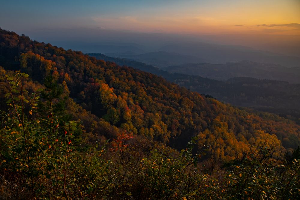 Photograph by Раббе Владимир