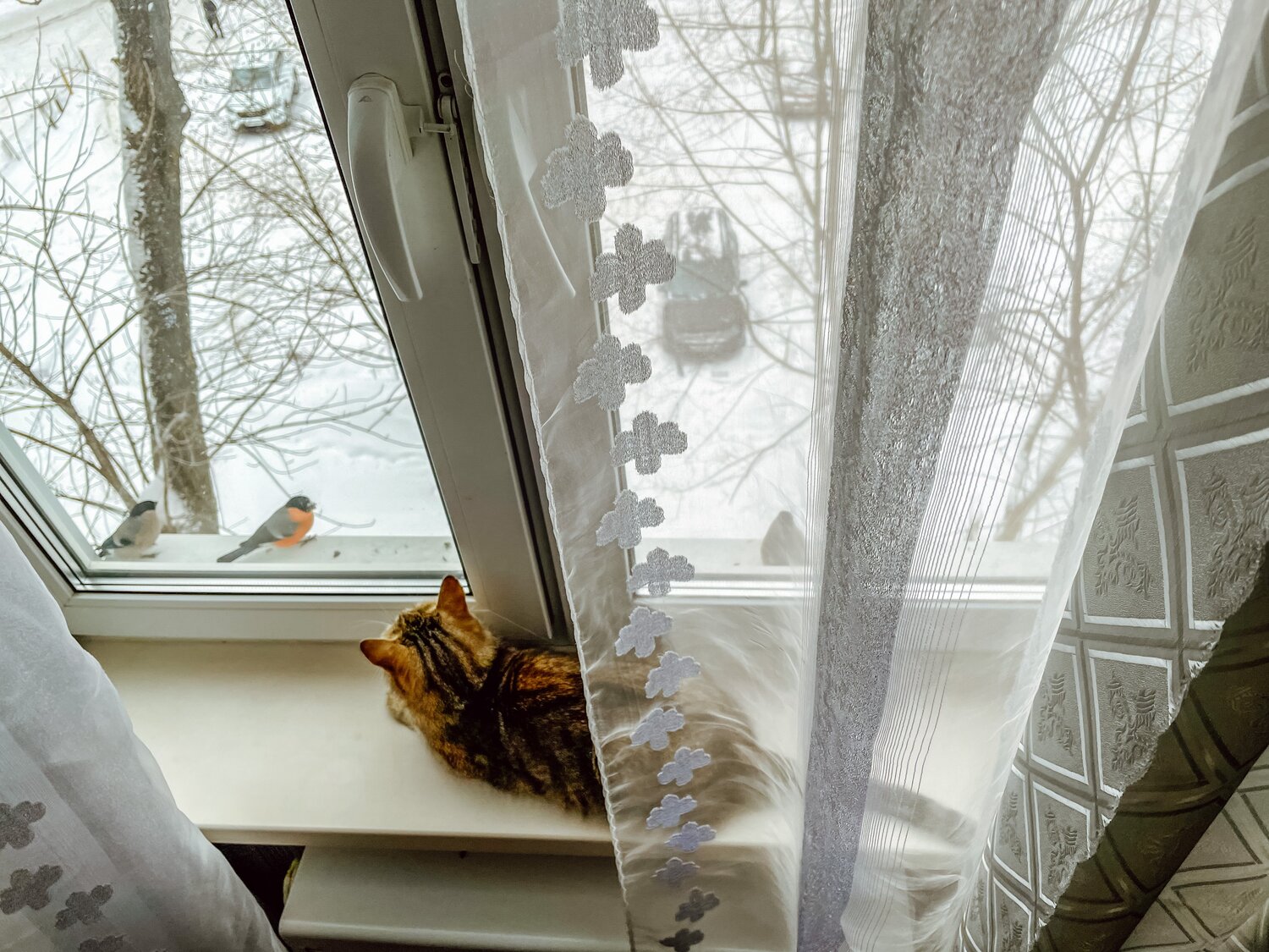 Photo #5859648