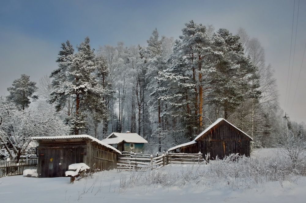 Морозный  день