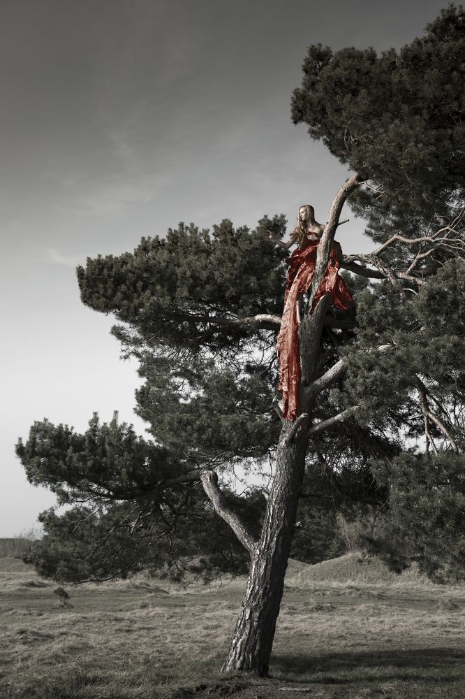 Photograph by Falkenberg Christina