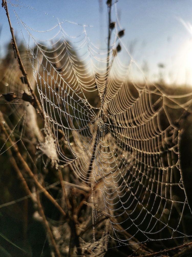 Photograph by Ольга Мажарук