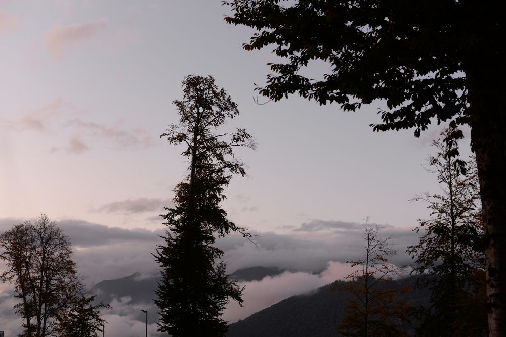 Photograph by Ekaterina Kudukhova