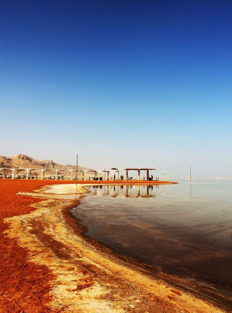 Фотография автора Алла Черноморская