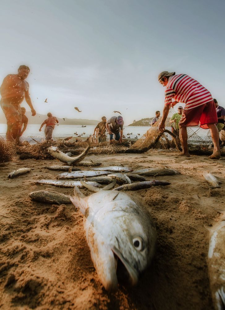 Photograph by Brian mena laureano