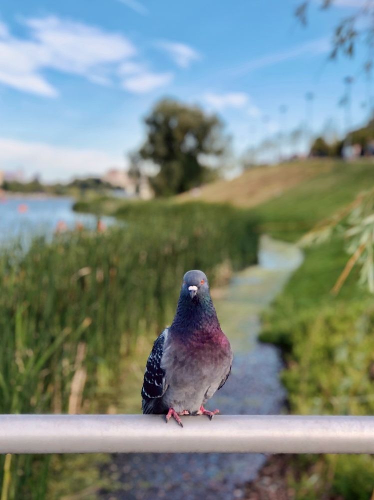 Photograph by Диана Гювенч