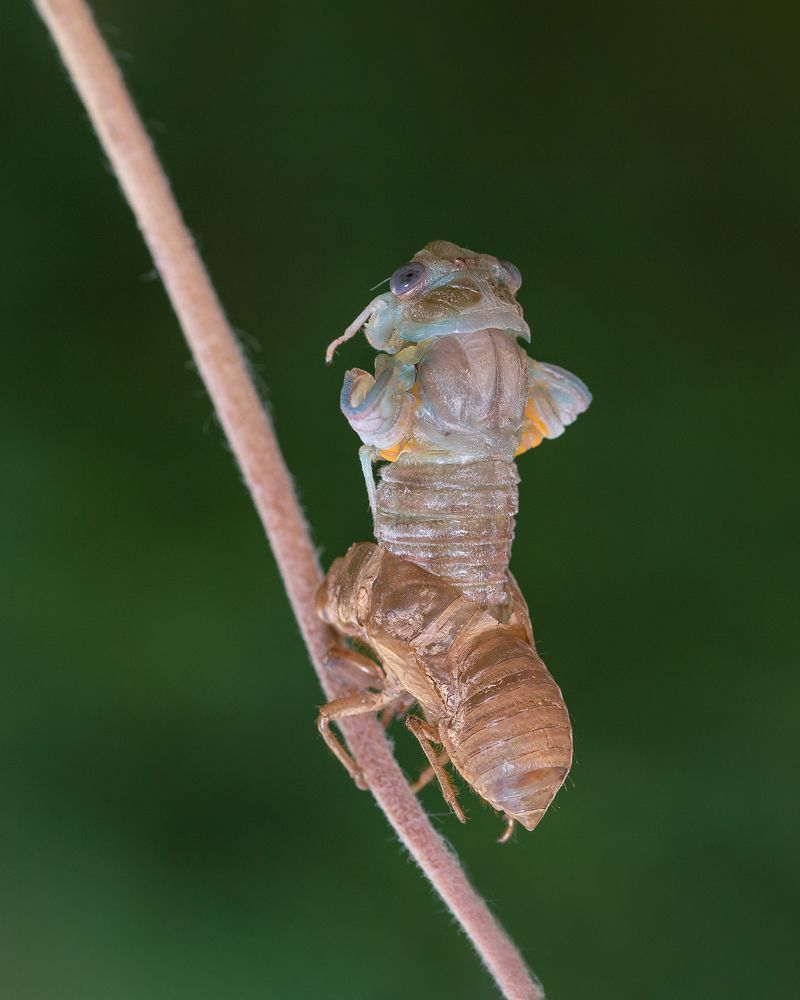 The beginning of my new life