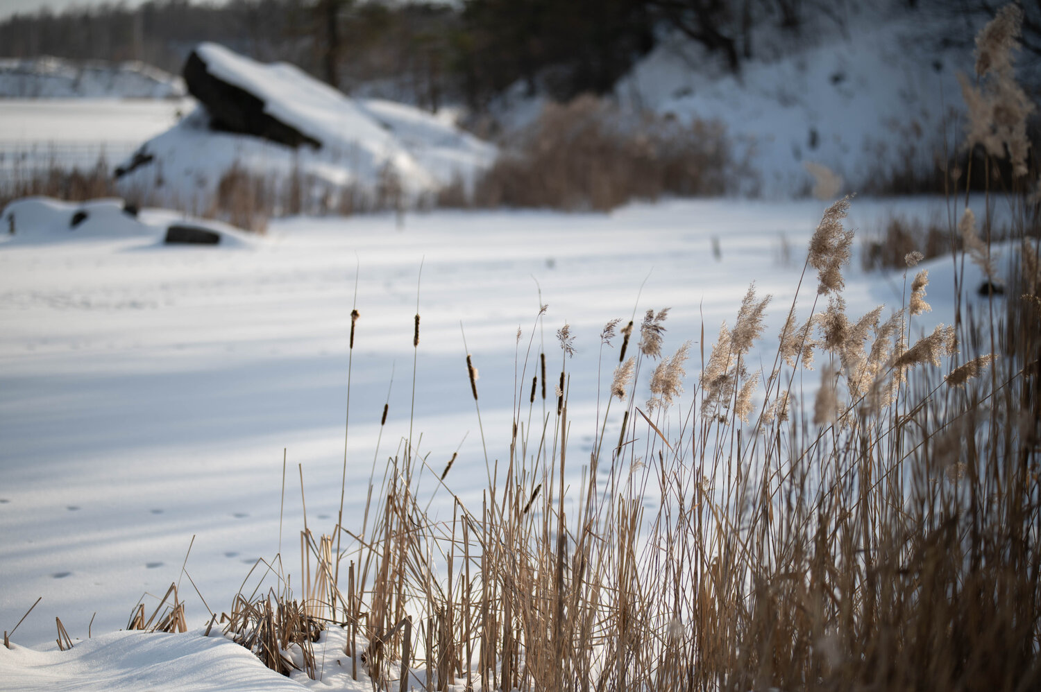 Photo #5859907