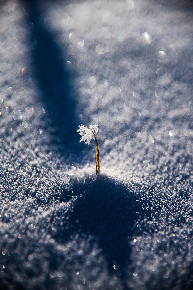 Photograph by Раббе Владимир