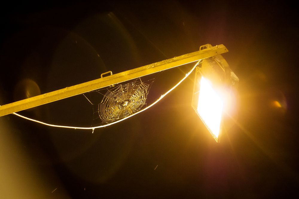 Photograph by Елена Давыдова