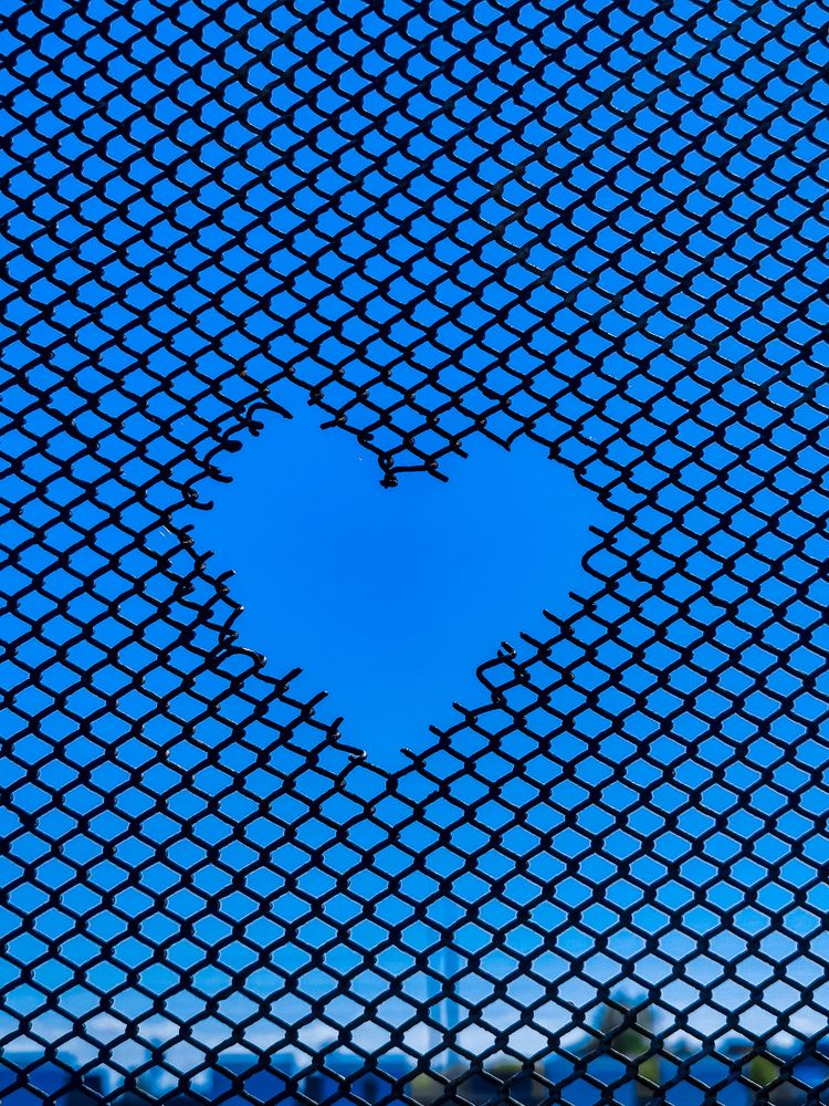 Фотография автора Дмитрий Лебедь