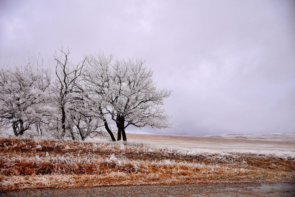 Photograph by Марина Высоцкая