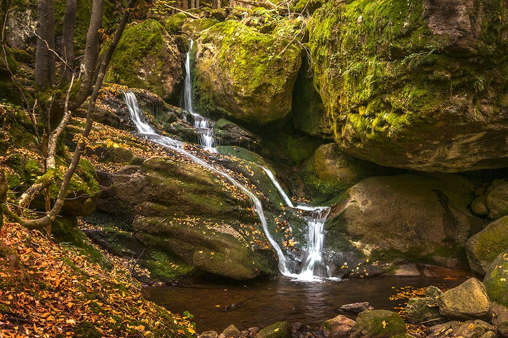 Фотография автора Milena Ivanova