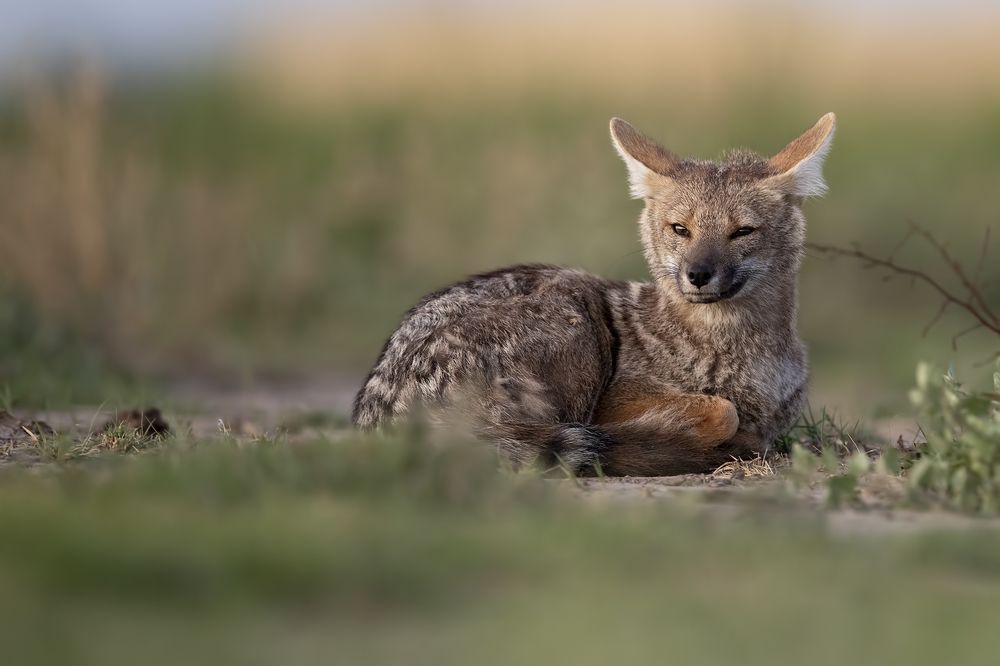 Photograph by Esteban Argerich