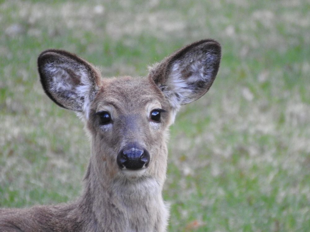 Photograph by Josée Beauchemin