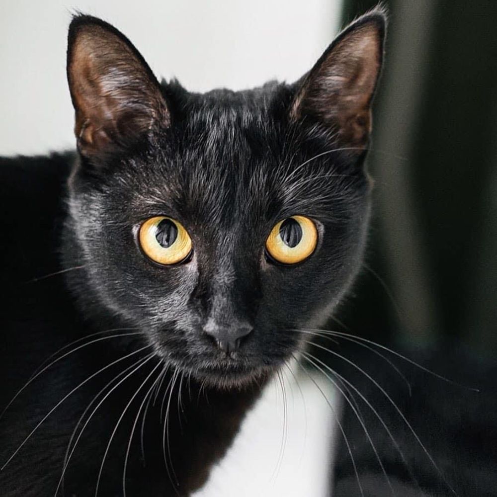 Photograph by Нина Тарашкевич