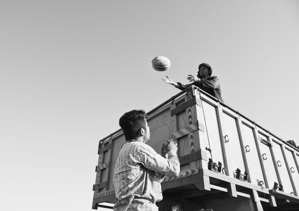 Photograph by Seyed Ehsan Mortazavi