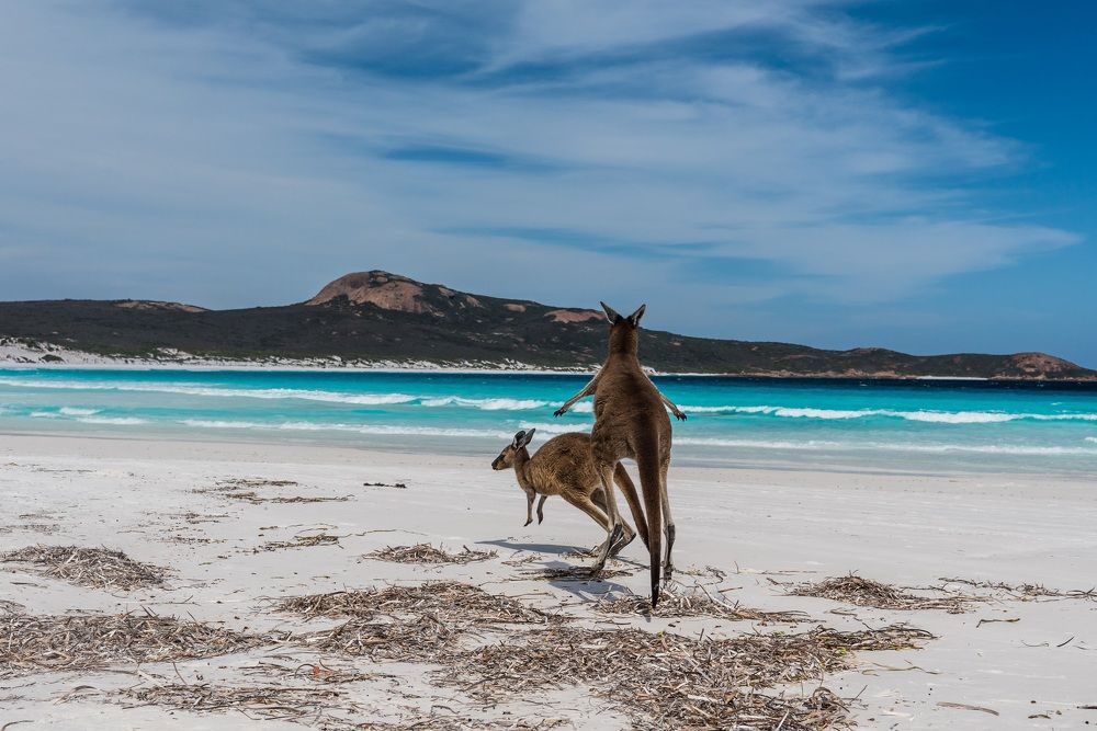 Watch out! I'm gonna catch you