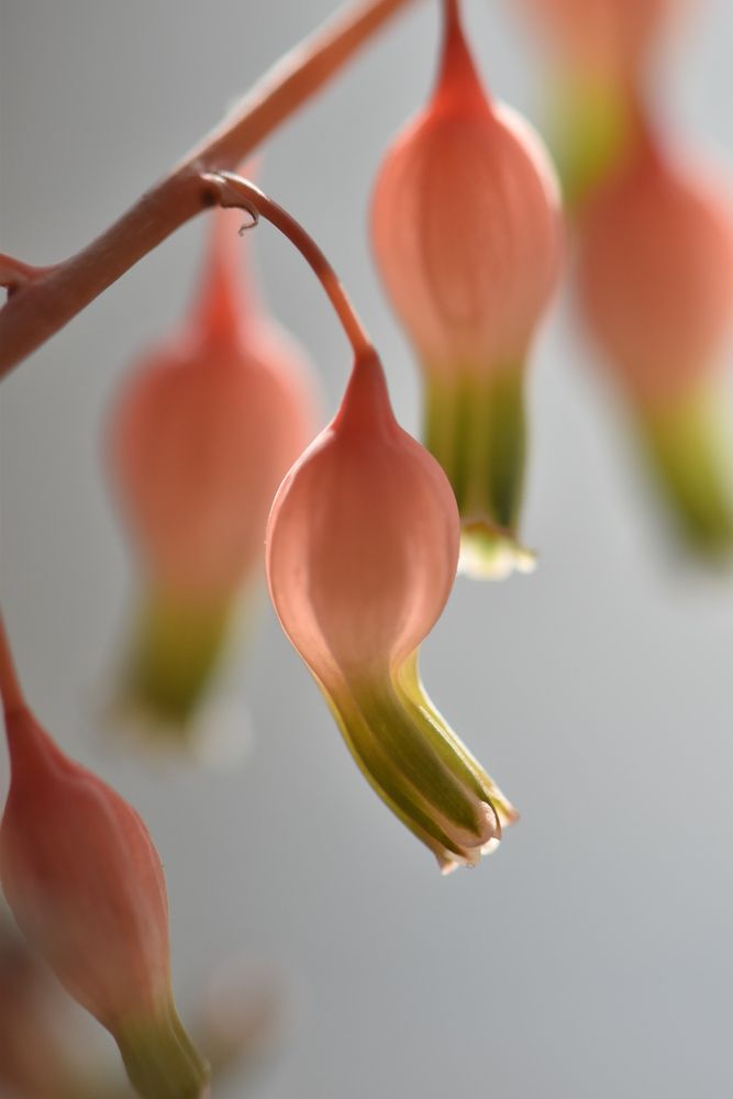 Фотография автора Мария Рохмистрова