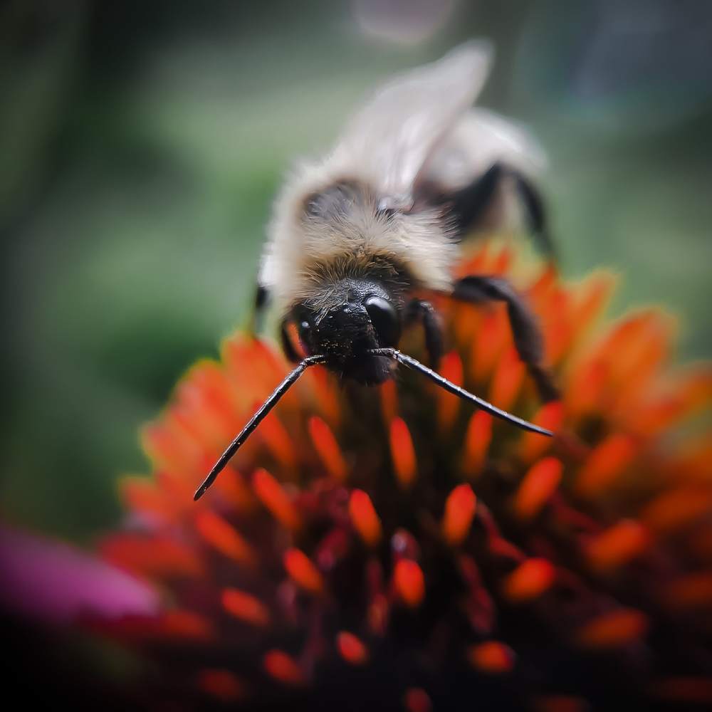 Photograph by Ekaterina Fadeeva