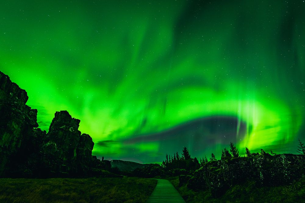 Photograph by Piotr Mickevic