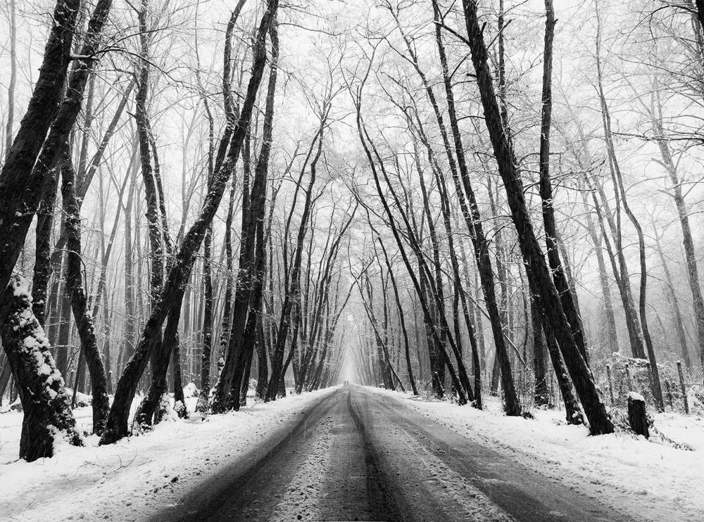 Photograph by Riahi Hosein