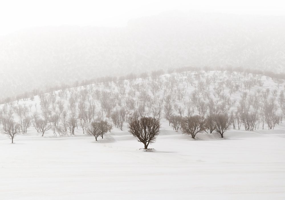 Photograph by Riahi Hosein