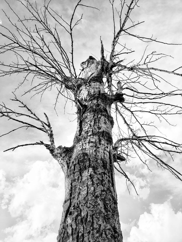 Фотография автора Александр Османов