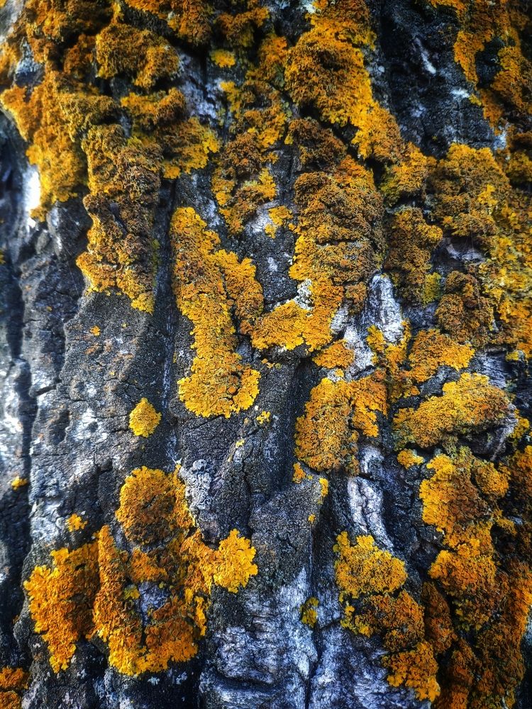 Фотография автора Александр Османов