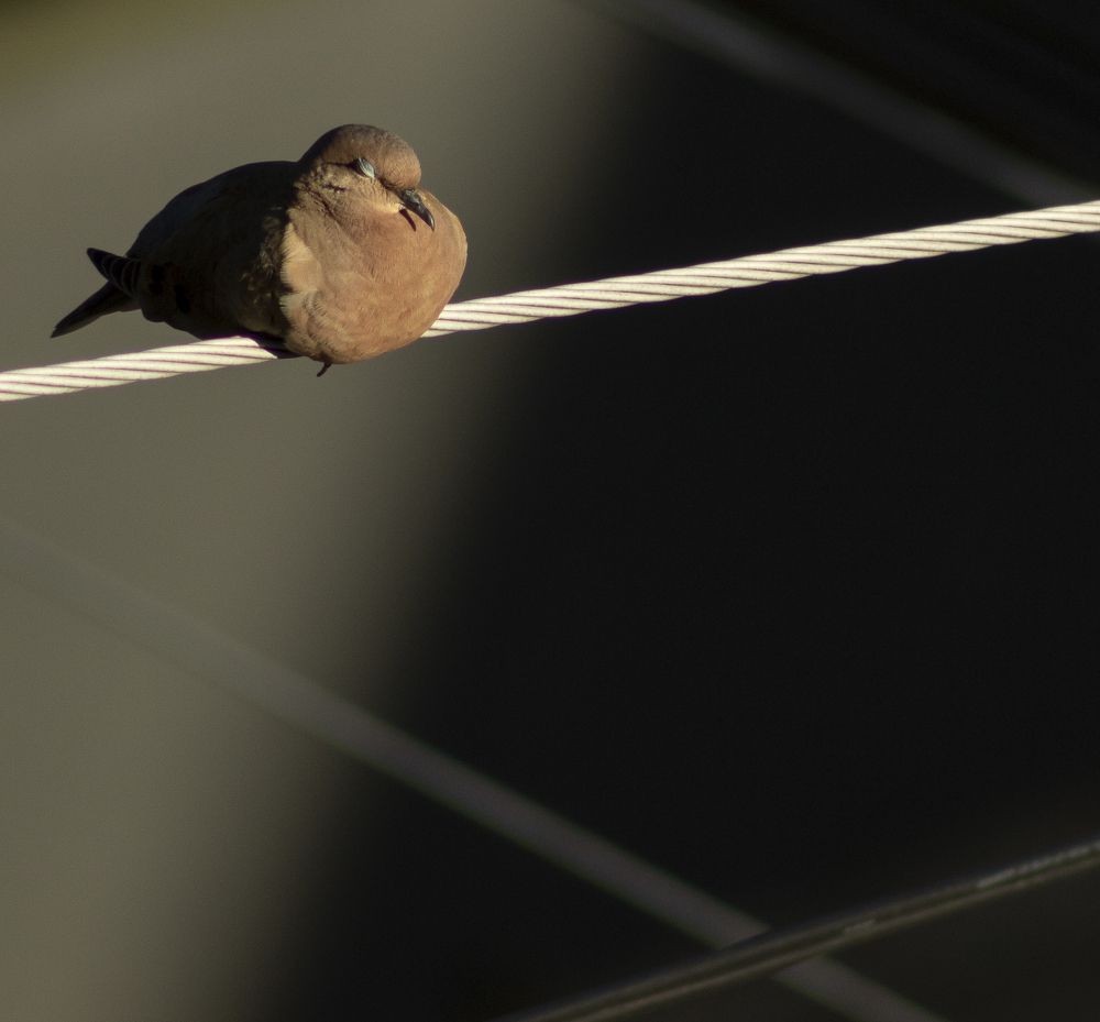 Photograph by Fabio Santanna