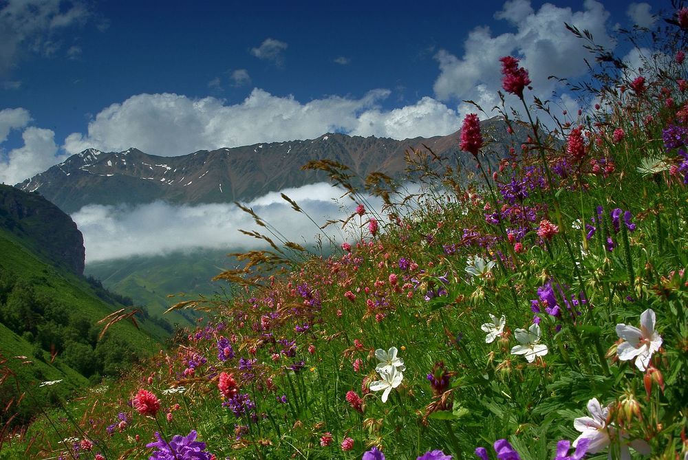 Photograph by Михаил Каштанов