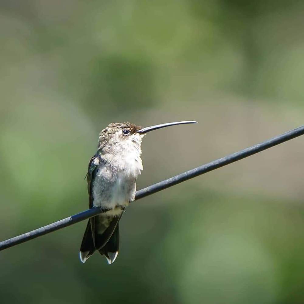 Photograph by Karina Elena Bergagna