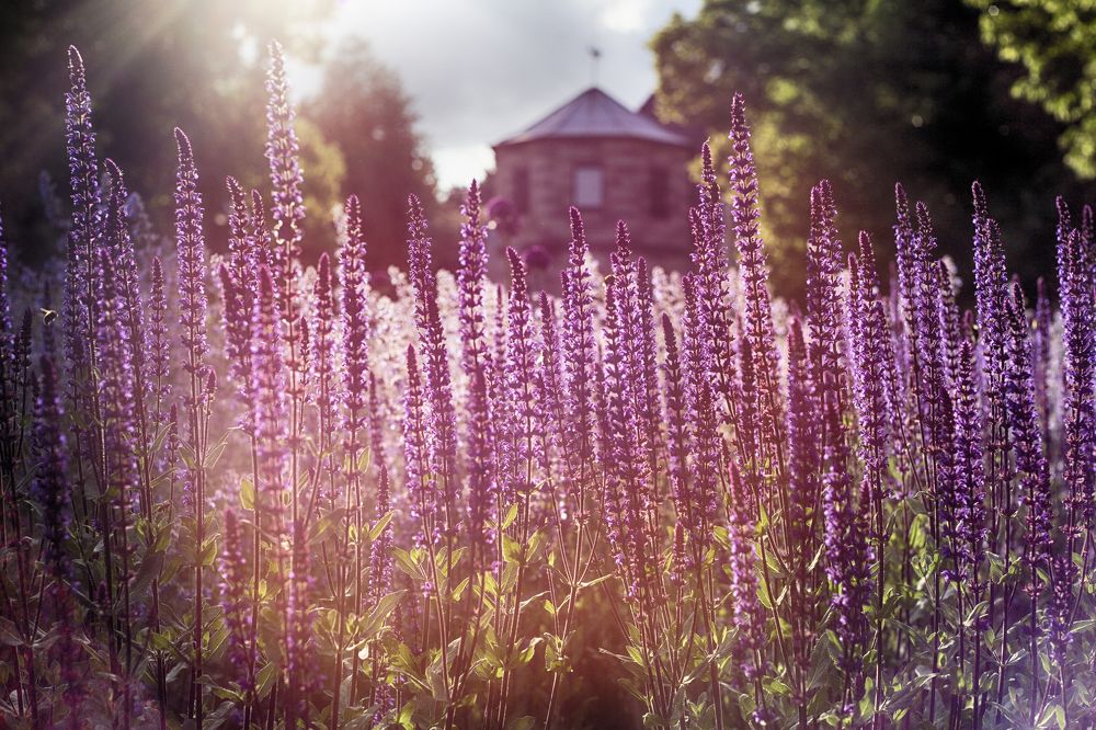 Photograph by Tatiana Kurilas