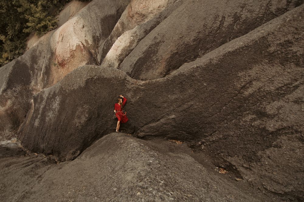 Красный цветок донецких терриконов