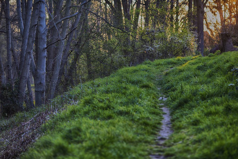 Photograph by Tatiana Kurilas