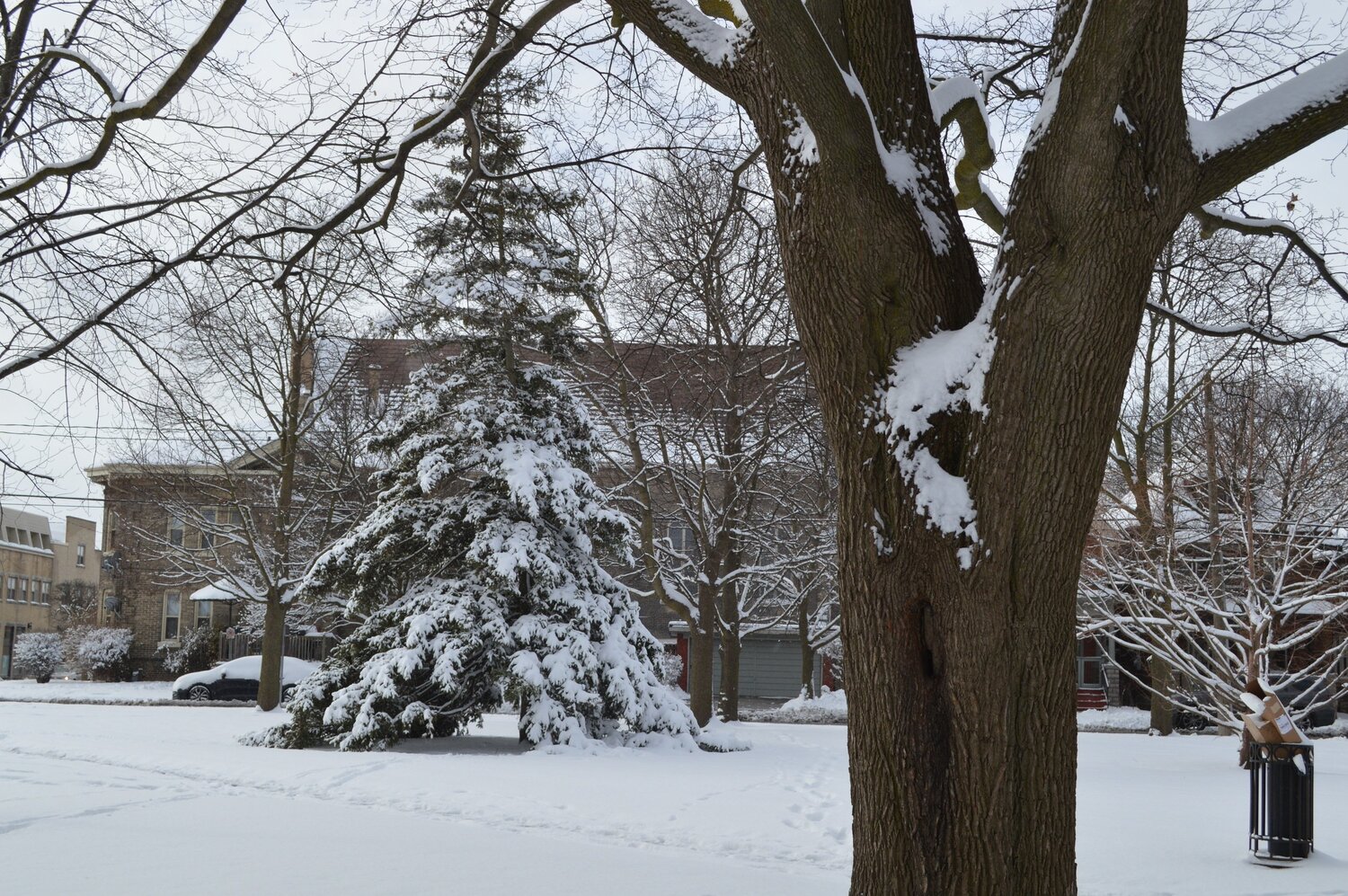 Photo #5860639