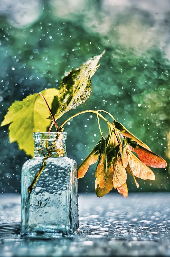 Photograph by Галина Царькова