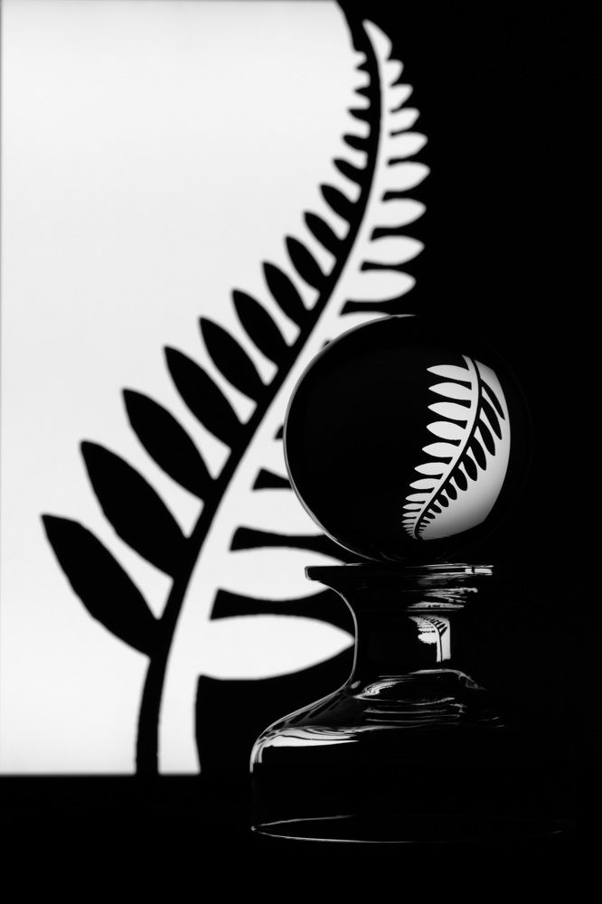 Photograph by Tamar Riabukha