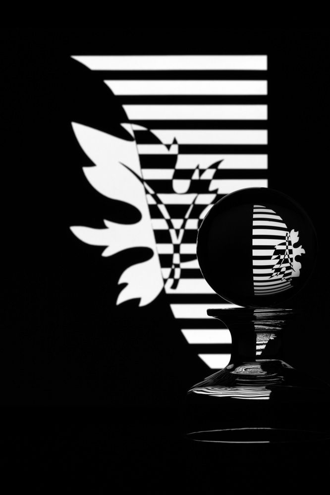 Photograph by Tamar Riabukha