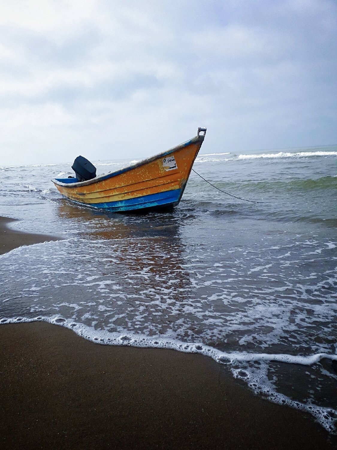 Photo #5860666